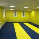 Занятия йогой, фитнесом в спортзале Tiger Нижний Новгород
