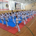 Занятия йогой, фитнесом в спортзале Тхэквондо ВТФ Москва