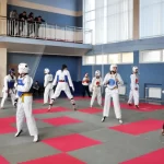 Занятия йогой, фитнесом в спортзале Тхэквондо ВТФ Москва