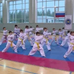 Занятия йогой, фитнесом в спортзале Тхэквондо WTF Москва