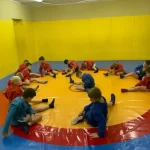 Занятия йогой, фитнесом в спортзале Центр бокса и единоборств, секция самбо Балашиха