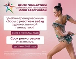 Спортивный клуб Центр гимнастики Юлии Барсуковой