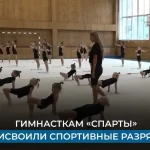 Занятия йогой, фитнесом в спортзале Центр художественной гимнастики Спарта Домодедово
