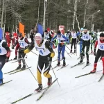 Занятия йогой, фитнесом в спортзале Центр Лыжной Подготовки Стрежевой