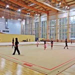 Занятия йогой, фитнесом в спортзале Центр олимпийской подготовки, секция бадминтон Москва