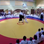 Занятия йогой, фитнесом в спортзале Центр Развития Айкидо, школа Сергея Бородулина Москва