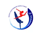 Спортивный клуб Центр спортивной гимнастики