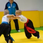 Занятия йогой, фитнесом в спортзале Центр Ушу и акробатики Воронеж