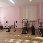 Занятия йогой, фитнесом в спортзале Центральный Алапаевск