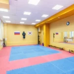 Занятия йогой, фитнесом в спортзале Учебный центр Неолимпийских Видов Спорта Москва