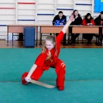 Занятия йогой, фитнесом в спортзале Ушу Красноярск