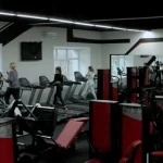 Занятия йогой, фитнесом в спортзале Васел джим Ялта