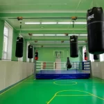 Занятия йогой, фитнесом в спортзале Витязь Балашиха