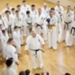 Занятия йогой, фитнесом в спортзале Владимирская областная Федерация Кекусинкай Владимир