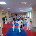 Занятия йогой, фитнесом в спортзале Владимирская областная Федерация Кекусинкай Владимир