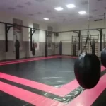 Занятия йогой, фитнесом в спортзале Волкодав Ростов-на-Дону