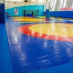 Занятия йогой, фитнесом в спортзале Вольная борьба Химки Химки