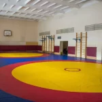 Занятия йогой, фитнесом в спортзале Вольная борьба Москва