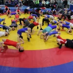 Занятия йогой, фитнесом в спортзале Вольная борьба Ростов-на-Дону