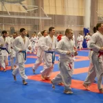 Занятия йогой, фитнесом в спортзале Вологодская областная федерация каратэ Вологда