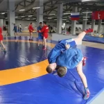 Занятия йогой, фитнесом в спортзале Вооо Федерация спортивных боевых искусств Волжский