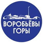 Спортивный клуб Воробьевы Горы