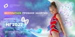 Спортивный клуб Всероссийская сеть детских спортивных школ по художественной гимнастике и спортивной акробатике FD