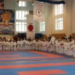 Занятия йогой, фитнесом в спортзале Всестилевая федерация каратэ г. Вологды Вологда