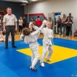 Занятия йогой, фитнесом в спортзале Всестилевое каратэ, кудо Курск