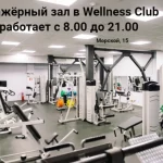 Занятия йогой, фитнесом в спортзале Wellnes club Мурманск