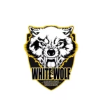 Занятия йогой, фитнесом в спортзале White Wolf Калининград