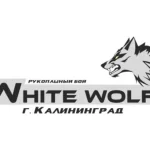 Занятия йогой, фитнесом в спортзале White Wolf Калининград