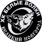 Занятия йогой, фитнесом в спортзале White Wolf Калининград