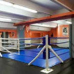 Занятия йогой, фитнесом в спортзале Wild Athletic Москва