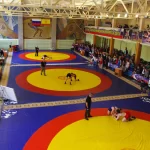 Занятия йогой, фитнесом в спортзале Wkc Нижнекамск