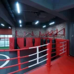 Занятия йогой, фитнесом в спортзале World fighting Химки