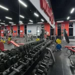 Занятия йогой, фитнесом в спортзале World Gym Вёшки