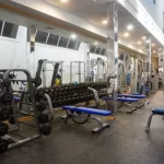 Занятия йогой, фитнесом в спортзале World Gym Вёшки