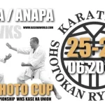 Занятия йогой, фитнесом в спортзале World Karate Do Shotokan Ryu Kase Ha Москва