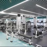 Занятия йогой, фитнесом в спортзале Wtc Fitness Москва