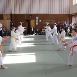 Занятия йогой, фитнесом в спортзале Yoshinkan Aikido Самара