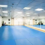 Занятия йогой, фитнесом в спортзале YouDance Center Арамиль