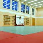 Занятия йогой, фитнесом в спортзале Зал айкидо Благовещенск