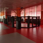 Занятия йогой, фитнесом в спортзале Зал боевых искусств Лев Москва