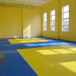 Занятия йогой, фитнесом в спортзале Зал борьбы самбо и дзюдо Иркутск