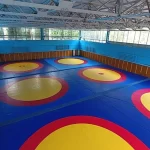 Занятия йогой, фитнесом в спортзале Зал борьбы самбо и дзюдо Иркутск