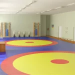 Занятия йогой, фитнесом в спортзале Зал греко-римской борьбы Уфа