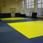 Занятия йогой, фитнесом в спортзале Зал спортивной борьбы Калининград