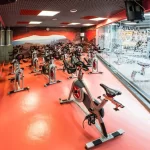 Занятия йогой, фитнесом в спортзале Zebra Fitness Волгоград