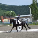 Занятия йогой, фитнесом в спортзале Золотая лошадь Горно-Алтайск